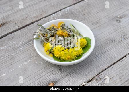Weiße Schüssel mit frischem und getrocknetem Huffuß auf hölzernem Hintergrund Stockfoto