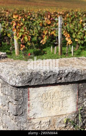 Romanée Conti Weinberge in Burgund, Frankreich Stockfoto