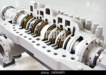 Horizontaler Querschnitt der mehrstufigen, zweistufigen Zentrifugalpumpe Stockfoto