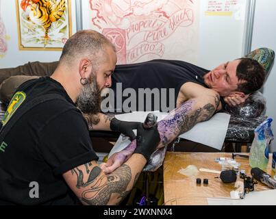 Mann, der sich ein Arm Tattoo auf der Scottish Tattoo Convention in Edinburgh, Schottland, Großbritannien Stockfoto