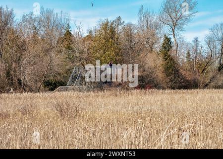 Auf der Aussichtsplattform des Marsh Boardwalk Trail im Presqu'Ile Provincial Park, Brighton, Ontario, Kanada, können Selfies gemacht werden Stockfoto