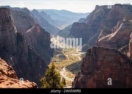 Blick über das Zion-Tal in Richtung Angel's Landing vom Aussichtspunkt im Zion-Nationalpark aus gesehen Stockfoto