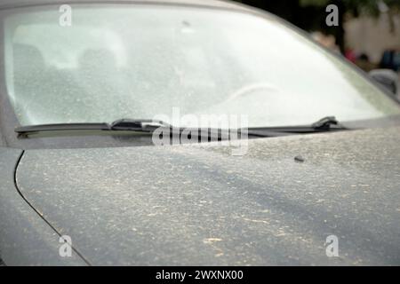 Rom, Italien. April 2024. Motorhaube und Windschutzscheibe eines schwarzen Autos, bedeckt mit Sand, der vom Scirocco-Wind aus der Sahara am Ostermontag in Rom getragen wird. Ostermontag mit schlechtem Wetter und einer Zunahme von Feinpartikeln in der italienischen Hauptstadt. Der Sirocco-Wind weht, und wenn er abstirbt, mit einigen Minuten dauernden Sprühnebeln in verschiedenen Teilen der Stadt, regnet es Sand, der nach den Stürmen in der größten Wüste der Welt von den Winden aus der Sahara nach Europa transportiert wird. Das Phänomen verursacht einen Anstieg des täglichen PM10-Werts, der von den Luftqualitätsüberwachungsstationen in erkannt wird Stockfoto