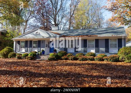 Neutrales amerikanisches Ranch-Haus und Hof tief bedeckt mit Herbstlaub, Gartenpflege kreativer Kopierraum, horizontaler Aspekt Stockfoto