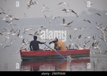 Delhi, Indien. April 2024. 1. April 2024, Delhi Indien: Touristen werden von einer Vogelschar besucht, während sie eine Bootsfahrt im Fluss Yamuna Ghat in Delhi genießen. Am 1. April 2024 in Delhi Indien. (Foto: Umer Qadir Eyepix Group/SIPA USA) Credit: SIPA USA/Alamy Live News Stockfoto