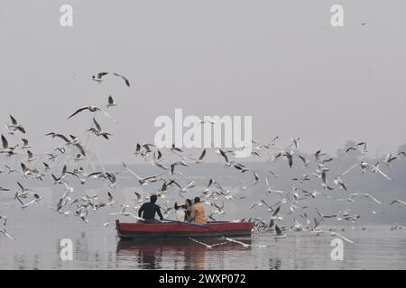 Delhi, Indien. April 2024. 1. April 2024, Delhi Indien: Touristen werden von einer Vogelschar besucht, während sie eine Bootsfahrt im Fluss Yamuna Ghat in Delhi genießen. Am 1. April 2024 in Delhi Indien. (Foto: Umer Qadir Eyepix Group/SIPA USA) Credit: SIPA USA/Alamy Live News Stockfoto