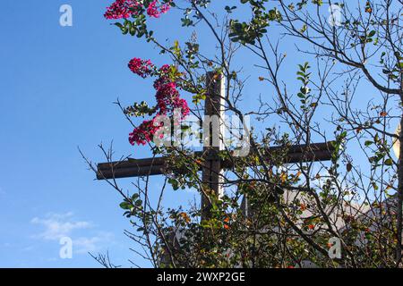 Ein Holzkreuz zwischen den grünen Blättern eines Baumes mit roten, rosa und gelben Blüten. Im Hintergrund ein wunderschöner blauer Himmel mit einer kleinen weißen Wolke. Stockfoto