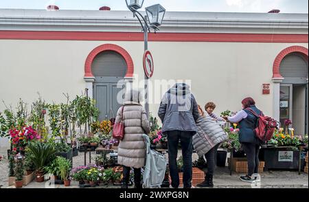 In Loule, Portugal, tummeln sich die Menschen auf einem lebhaften Straßenblumenmarkt mit einer Vielzahl von Pflanzen und Blumen. Stockfoto