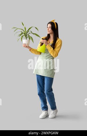 Schöne junge glückliche Gärtnerin, die Wasser auf die Zimmerpflanze auf grauem Hintergrund sprüht Stockfoto