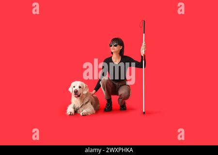 Blinde Frau mit Blindenhund auf rotem Hintergrund Stockfoto