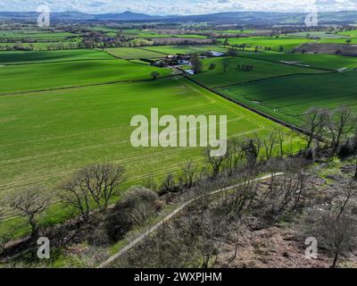 Lyth Hill - in der Nähe von Shrewsbury in Shropshire Stockfoto