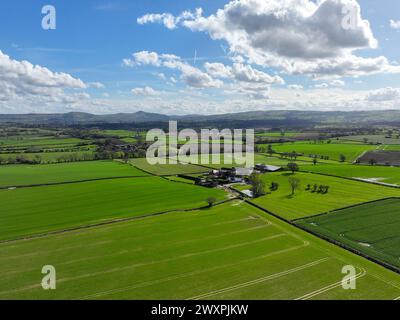 Lyth Hill - in der Nähe von Shrewsbury in Shropshire Stockfoto