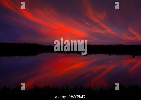 Das letzte Licht eines brillanten Sonnenuntergangs beleuchtet die Florida Everglades. Stockfoto