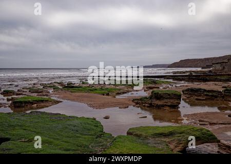 Ein winterlicher Strand bei Ebbe mit Felsenbecken und Meeresalgen bedeckten Felsen eine Klippe Küste, Scarborough, North Yorkshire, England. Stockfoto