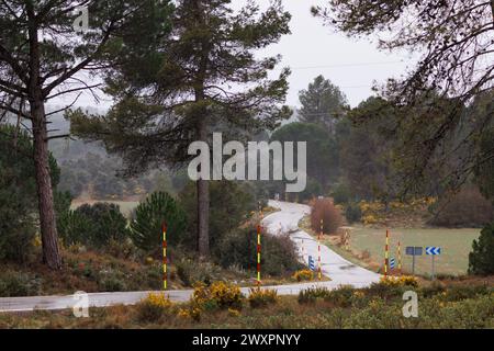 Bergstraße im Naturpark Sierra de Mariola, die an einem regnerischen Tag die Städte Alcoy und Bocairente verbindet Stockfoto