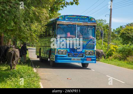 Kolutara, Sri Lanka. 08.02. 2023. Regelmäßiger öffentlicher Bus von Colombo nach Sri Pura. Busse sind der am weitesten verbreitete öffentliche Nahverkehr in Sri Lanka. Tradi Stockfoto