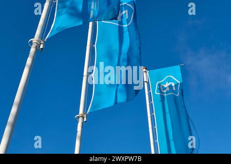 Albert Heijn-Logo auf blauen Bannern. Albert Heijn ist die größte Supermarktkette in den Niederlanden und hat Niederlassungen in Belgien. Stockfoto