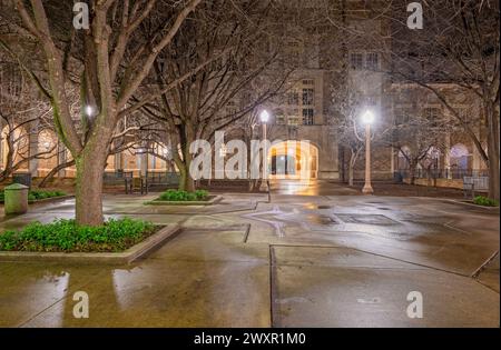 Nächtlicher Blick auf einen Fußgängerweg auf dem Campus der Texas Tech University in Lubbock, Texas, USA Stockfoto