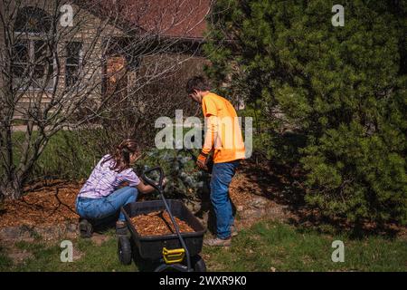 Junger Mann und Frau, die im Frühjahr im Mittleren Westen Blumenbeete im Vorgarten mulchen; Wagen mit Mulch neben ihnen Stockfoto