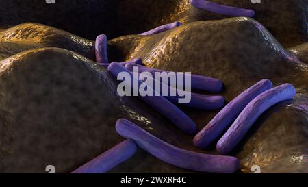 3D-Animation von Mycobacterium leprae, ist ein grampositives Bakterium, das Lepra verursacht, auch bekannt als Hansen-Krankheit Stockfoto