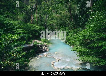 Ein ruhiger Fluss fließt durch üppige grüne Wälder, umgeben von Felsen und Bäumen auf den Philippinen Stockfoto