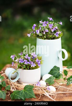 Vintage-floristisches Arrangement mit süßen violetten Blüten in Keramik-Teekanne und Tasse mit Eiern dekoriert. (Viola odorata) Gartendekoration für den Osten. Stockfoto