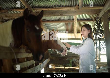 Tierarzt mit Stethoskop-Kontrolle der Gesundheit des Pferdes im Stall Stockfoto