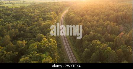 Waldwege: Entlang der Bahngleise durch die Sommerumarmung Stockfoto