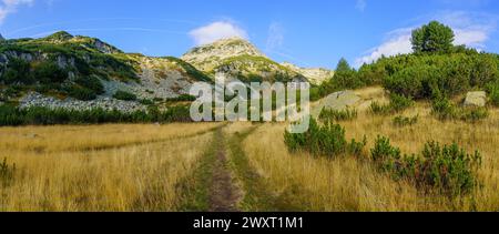 Panoramablick auf die Berglandschaft und einen Wanderweg im Nationalpark Pirin im Südwesten Bulgariens Stockfoto