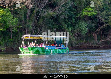 Ein Touristenboot auf der Suche nach Krokodilen auf dem Daintree River in Far North Queensland, Australien Stockfoto