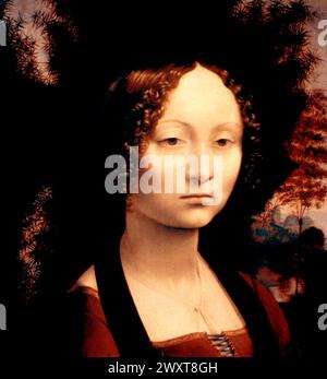 Porträt von Ginivra de' Benci, Gemälde des italienischen Künstlers Leonardo da Vinci, 15. Jahrhundert Stockfoto