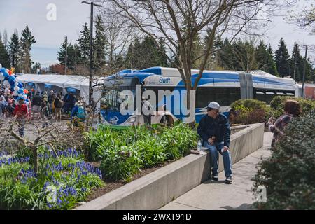 Edmonds, Washington, USA. 31. März 2024. Die Swift Orange Line verbindet Pendler mit wichtigen Verkehrsknotenpunkten wie dem Edmonds College und der Alderwood Mall und ermöglicht so nahtlose Transfers und multimodale Transportmöglichkeiten. Am Samstag eröffnete Community Transit offiziell seine „Swift Orange Line“. Das 83-Millionen-Dollar-Projekt ist die dritte „Swift Bus Rapid Transit Service“ (BRT)-Linie der Agentur. Sie besteht aus einer 18 km langen Strecke zwischen Edmonds College, Alderwood Mall und Mill Creek sowie der zukünftigen Stadtbahnstation in Lynnwood. (Credit Image: © Chin Hei Leung/SOPA Images via ZUMA Pres Stockfoto