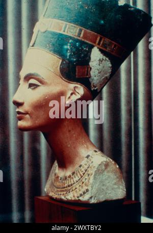 Alte ägyptische Königin Nefertiti, Kalksteinbüste, 1300 v. Chr Stockfoto