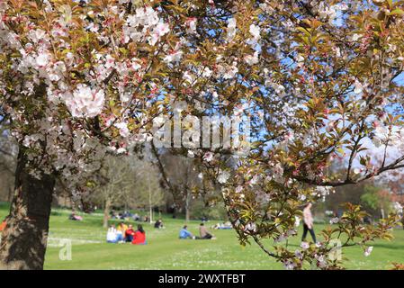Das Wetter war besser als erwartet am Ostermontag am 1. April 2024 im St James Park, im Zentrum von London, Großbritannien Stockfoto