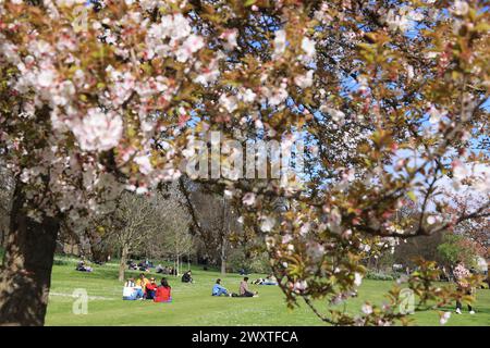 Das Wetter war besser als erwartet am Ostermontag am 1. April 2024 im St James Park, im Zentrum von London, Großbritannien Stockfoto