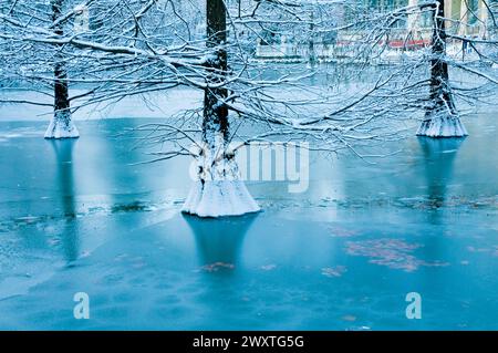 Gefroren über dem Teich, Cristal Palace. El Retiro Park, Madrid, Spanien. Stockfoto