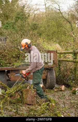 Mann Chainsawing ein Baum Stockfoto