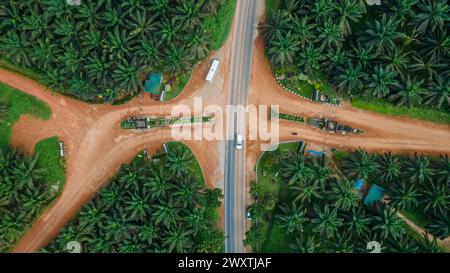 Ausgedehnte landwirtschaftliche Landschaft der Palmölindustrie in Borneo. Luftaufnahme, die den Maßstab der Plantage zeigt. Stockfoto