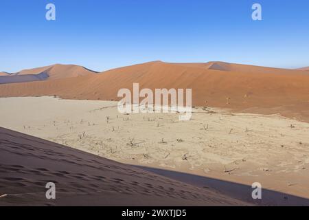 Panoramablick von der Big Daddy Dune in Sussusvlei auf die Salzpfanne von Deathvlei mit umliegenden roten Dünen am Morgen im Sommer Stockfoto