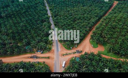 Ausgedehnte landwirtschaftliche Landschaft der Palmölindustrie in Borneo. Luftaufnahme, die den Maßstab der Plantage zeigt. Stockfoto