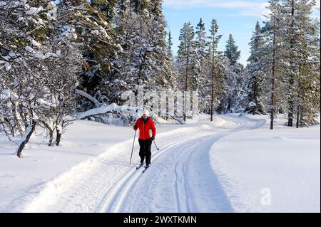 Eine Frau, die auf einer Piste im Wald fährt, Grövelsjön, Dalarna, Schweden Stockfoto