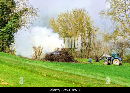 Landwirt, der großes Lagerfeuer von Altbaumeisten verbrennt - Zentralfrankreich. Stockfoto