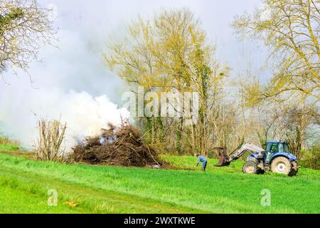 Landwirt, der großes Lagerfeuer von Altbaumeisten verbrennt - Zentralfrankreich. Stockfoto