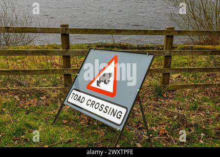 Schilder warnen Autofahrer vor Kröten, die die Straße überqueren, Redmires Reservoir, Sheffield, South Yorkshire, England Stockfoto