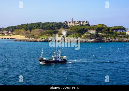 Fischerboot mit Möwen segeln vor dem Palacio de la Magdalena, Magdalena Palace, Santander, Hafenstadt in Kantabrien, Nordspanien Stockfoto