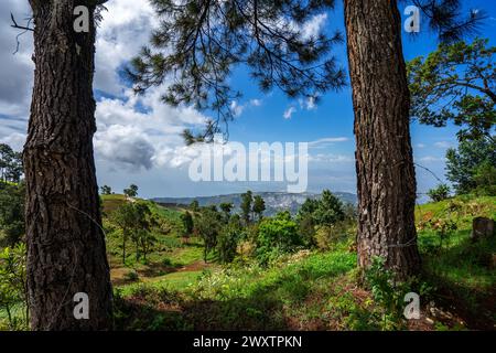 Port-Au-Prince lebendige Landschaft Stockfoto