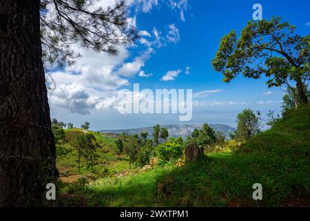 Port-Au-Prince lebendige Landschaft Stockfoto