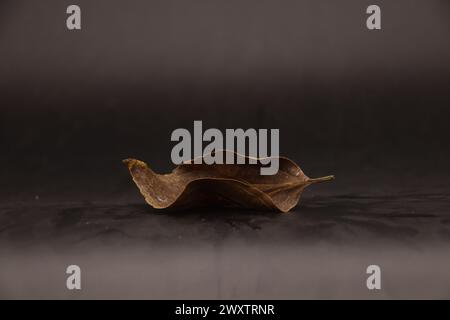 Stillleben 6 Stockfoto