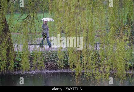 Hamburg, Deutschland. April 2024. Ein Passant macht einen Spaziergang in einem Park im Regen. Quelle: Marcus Brandt/dpa/Alamy Live News Stockfoto