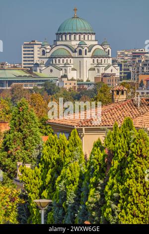 Kirche des Heiligen Sava, Belgrad, Serbien Stockfoto